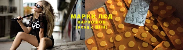 крисы Магадан