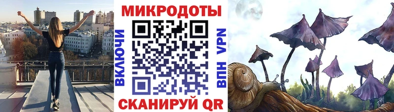 Купить где  Багратионовск  Псилоцибиновые грибы Magic Shrooms 